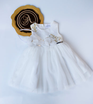 Danica lace gown dress