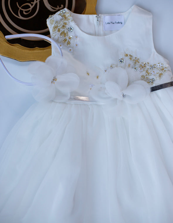 Danica lace gown dress